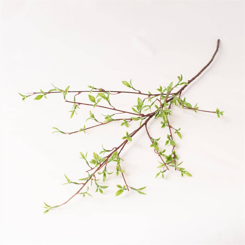 Willow Buds Branch