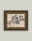 Branch of Fruit Bearing Tree
