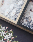 Vintage Print Framed | Botanical Watercolour Painting A75 - Cloth + Cabin