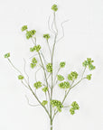 Spring Berry Stem