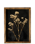 Delicate Pressed Flowers Botanical Wall Art