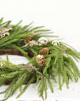 24in Twig Wreath Golden Holiday Norfolk Pine