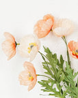 16in Wrinkle Poppy Bush Peach