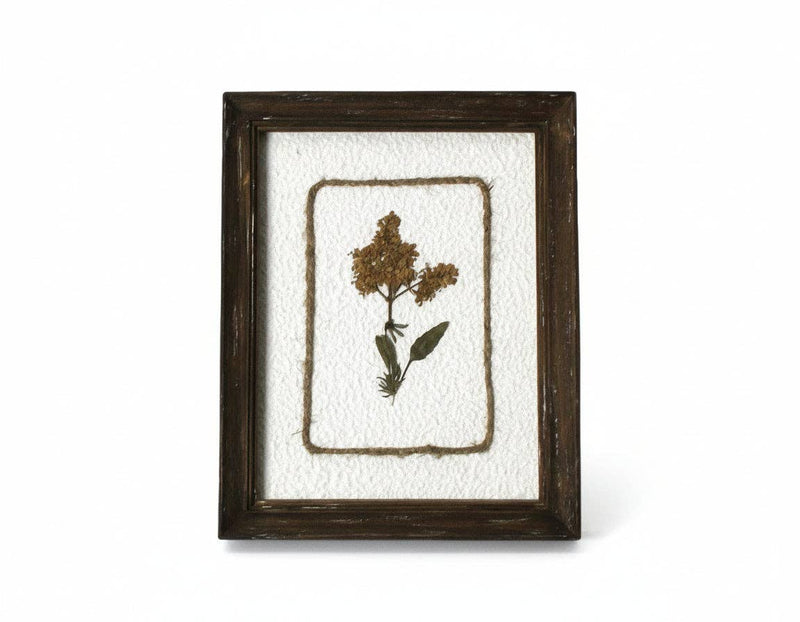 Pressed Flower Stem Botanical Flower Wall Art - Cloth + Cabin