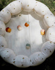 Animal Mold Free Silicone Bath Toy Set