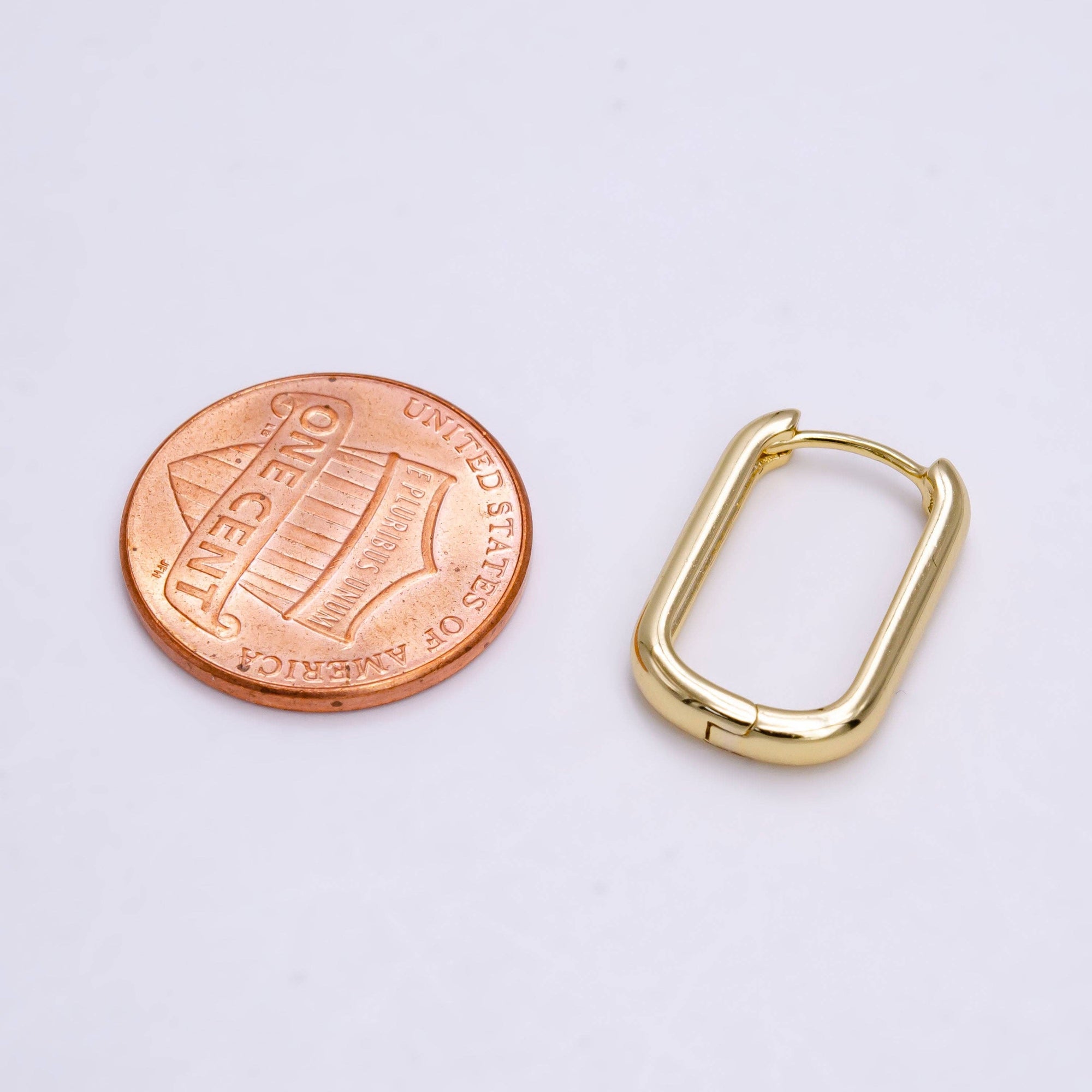 Oblong Huggie Hoop Earrings