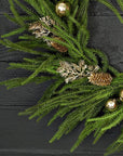24in Twig Wreath Golden Holiday Norfolk Pine
