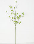 Spring Berry Stem