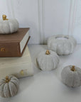 Concrete Pumpkins / White