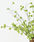 Spring Berry Stem