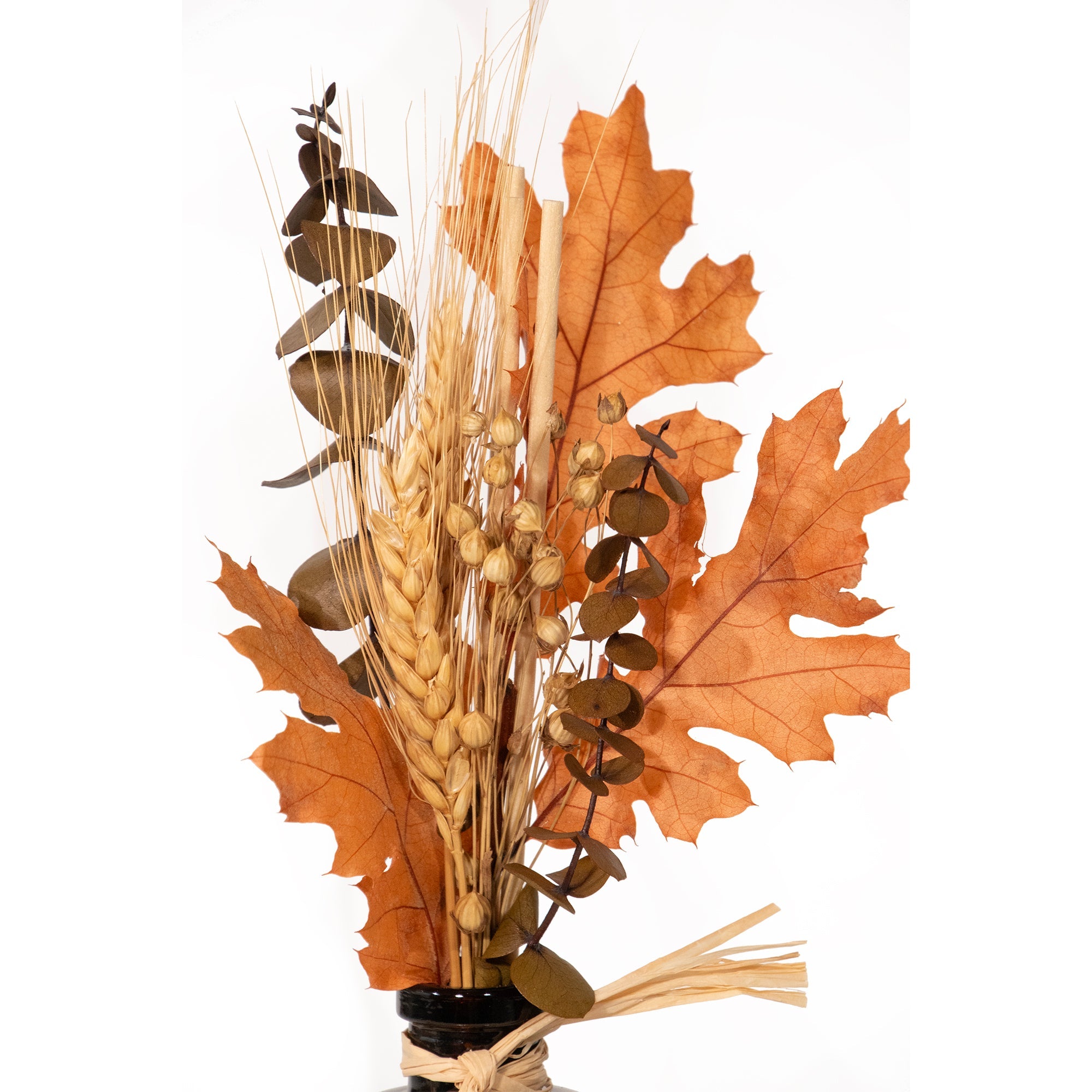 Eucalyptus & Botanicals Diffuser: Eucalyptus Harvest