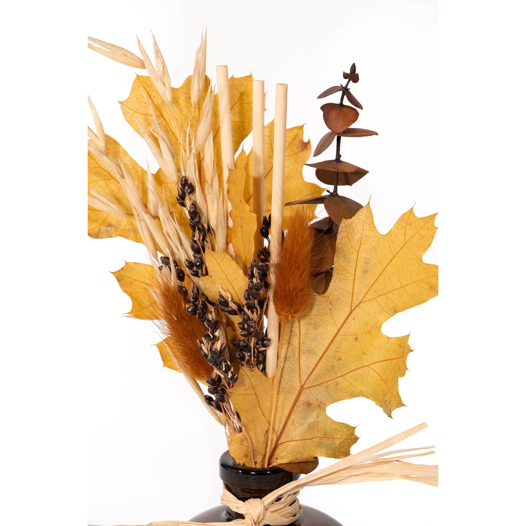 Eucalyptus & Botanicals Diffuser: Autumn Eucalyptus