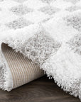 Atira Gray Checkered Area Rug