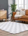 Atira Gray Checkered Area Rug