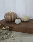 Concrete Pumpkins / White