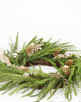 24in Twig Wreath Golden Holiday Norfolk Pine