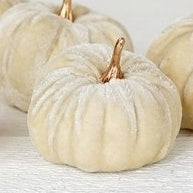 Mini Velvet Pumpkins