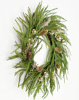 24in Twig Wreath Golden Holiday Norfolk Pine