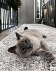 Olive Holi Washable Area Rug