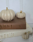 Concrete Pumpkins / Cream