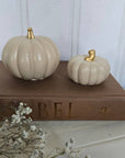 Concrete Pumpkins / Cream