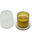 Olive Bell Glass Candle