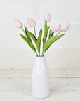 Real ouch Tulip Stem