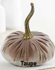 Handmade Velvet Pumpkins
