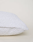 Boucle Lumbar: Snow