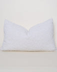 Boucle Lumbar: Snow