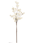 Snow Berry Stem