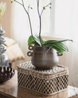 Hand-Woven Seagrass Box with Lid