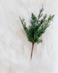 Snowy Cypress Stem