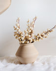Snow Berry Stem