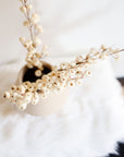 Snow Berry Stem