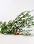 Snowy Cypress Stem