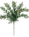 Snowy Cypress Stem