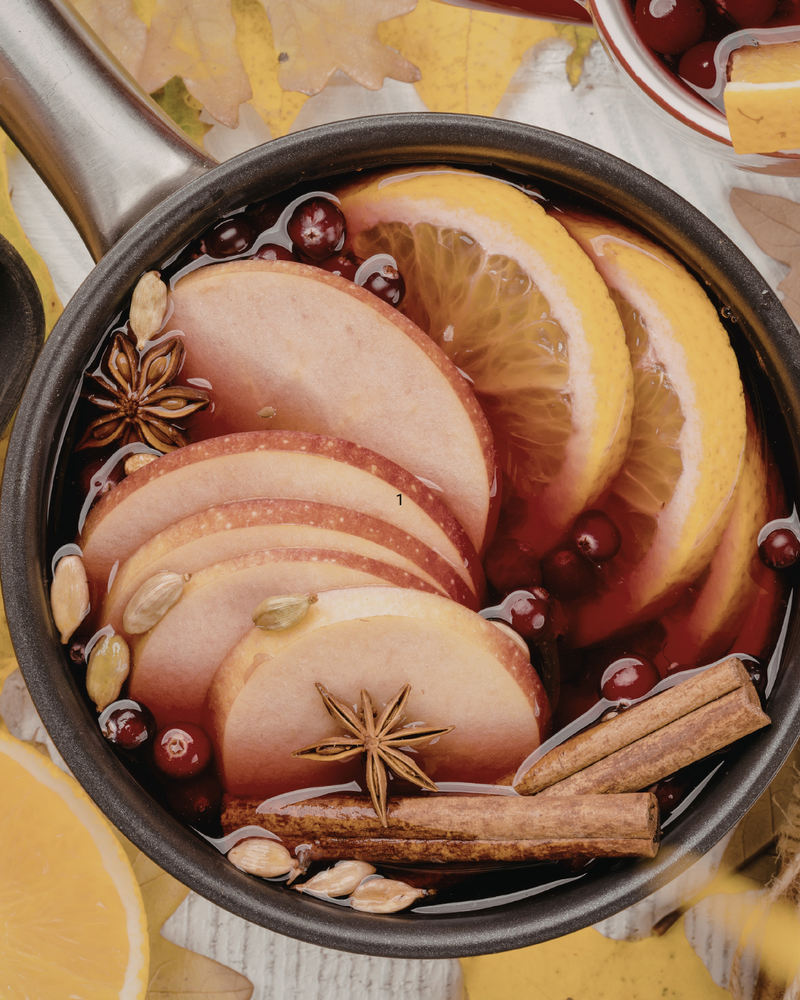 Cozy Fall Simmer Pot Kits