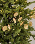 Apple Slice Garland