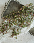 Rust Helleborus Hanging Spray