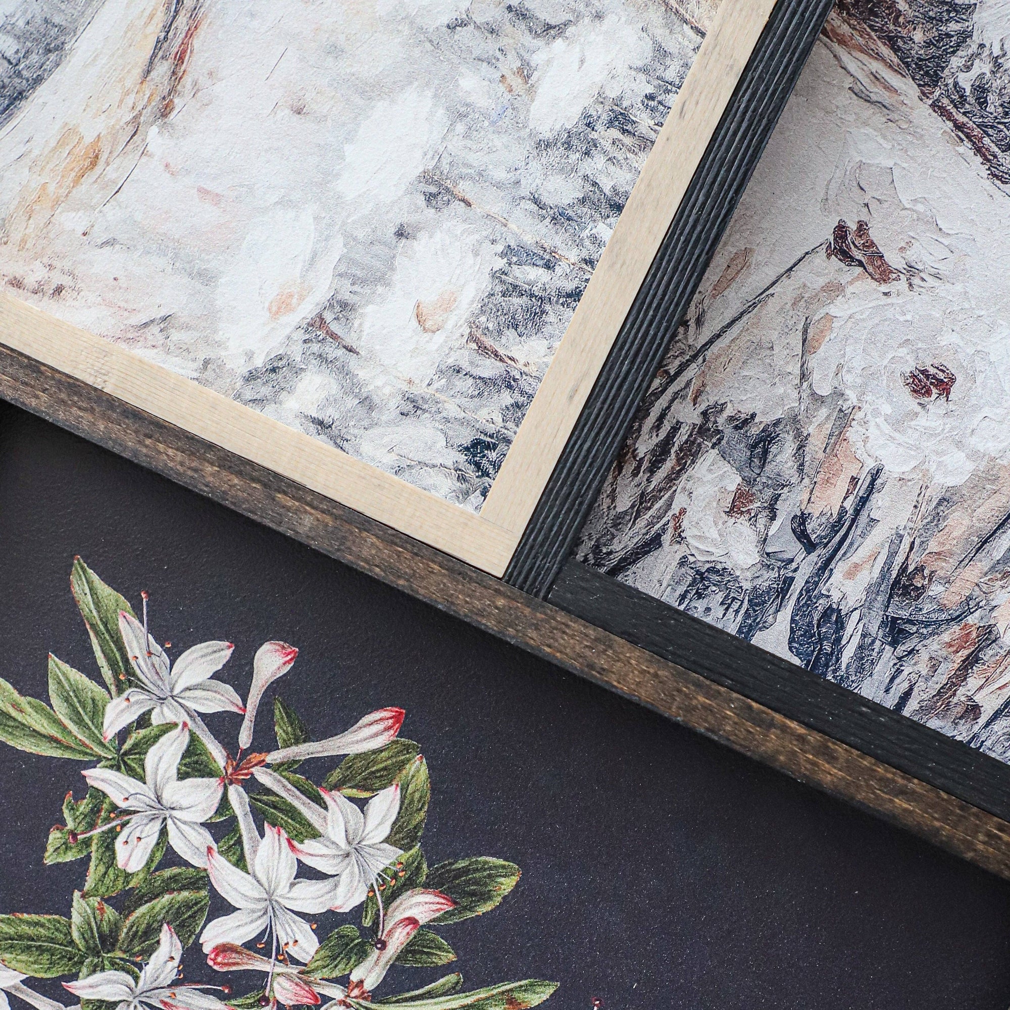 Vintage Print Framed | Botanical Watercolour Painting A75 - Cloth + Cabin