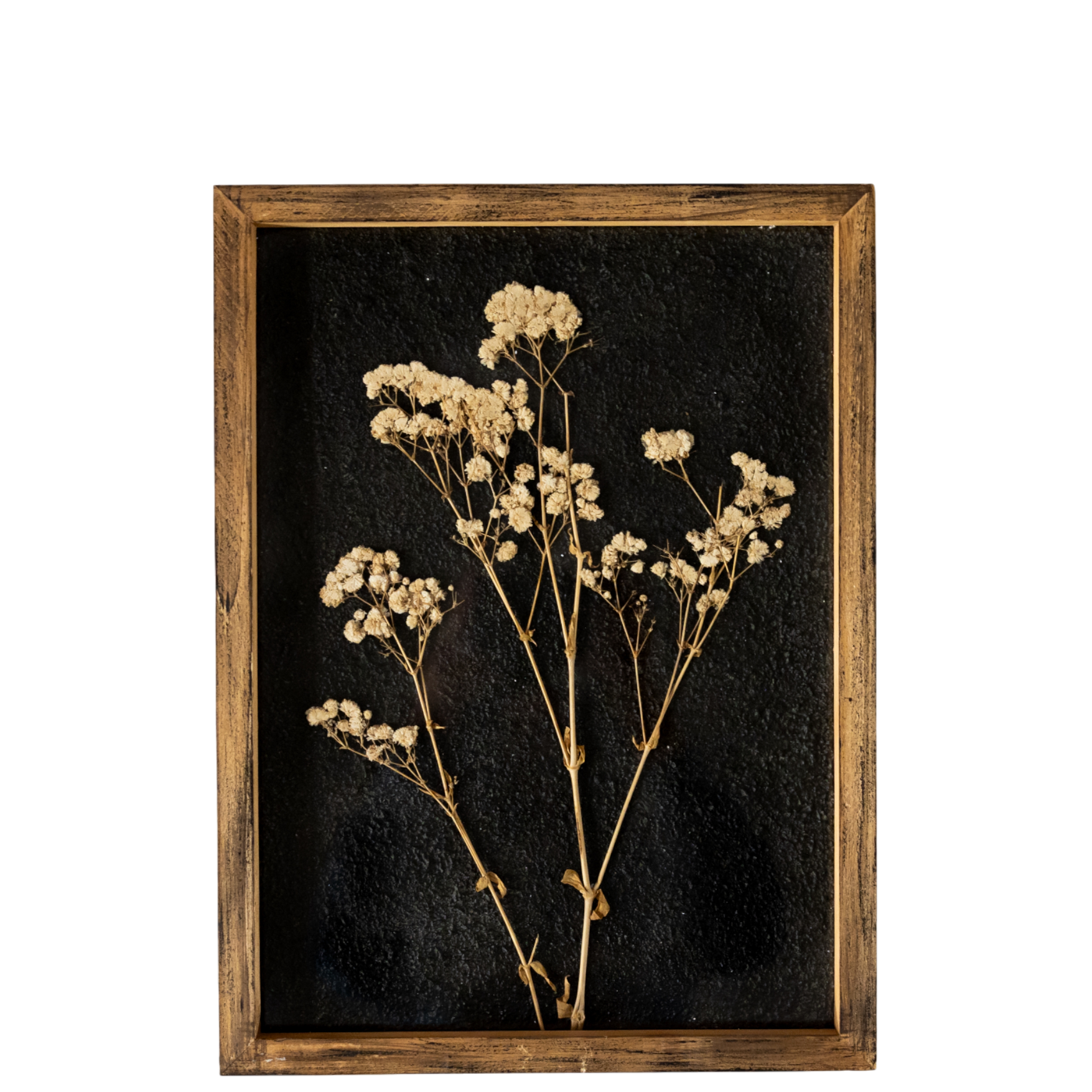Delicate Pressed Flowers Botanical Wall Art