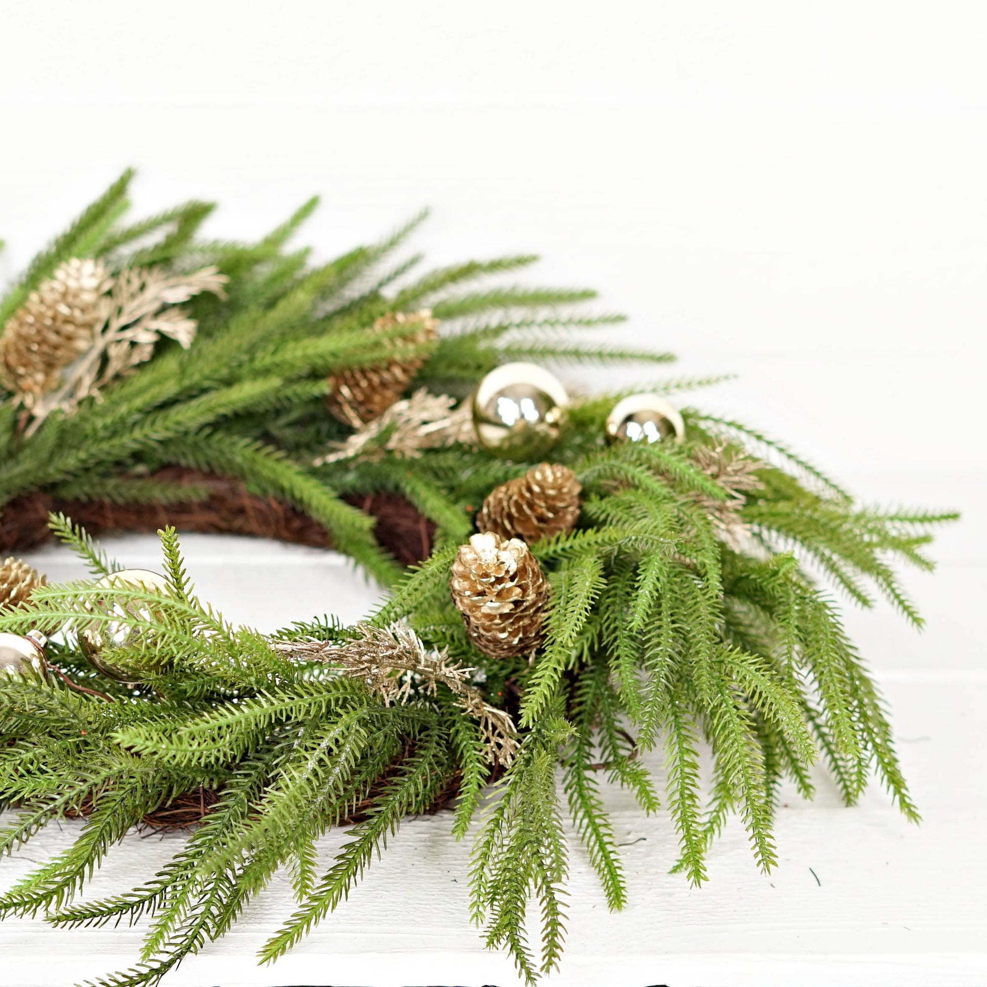 24in Twig Wreath Golden Holiday Norfolk Pine