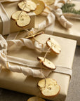 Apple Slice Garland