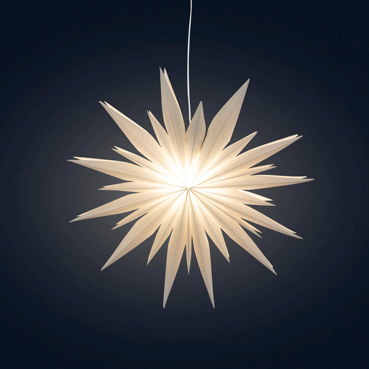 Snowflake Ice Star
