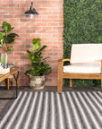 Kennedy Braided Stripes Indoor/Outdoor Area Rug