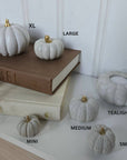 Concrete Pumpkins /  White