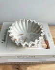 Kyma Concrete Scallop Bowl