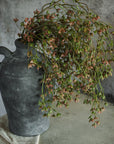 Rust Helleborus Hanging Spray