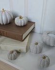 Concrete Pumpkins /  White